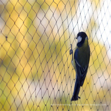 Hot vente pas cher anti filet d&#39;oiseau avec de haute qualité